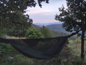 permaculture hammock pdc