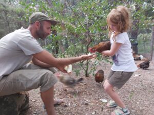 permaculture practice martin chickens la bruguera