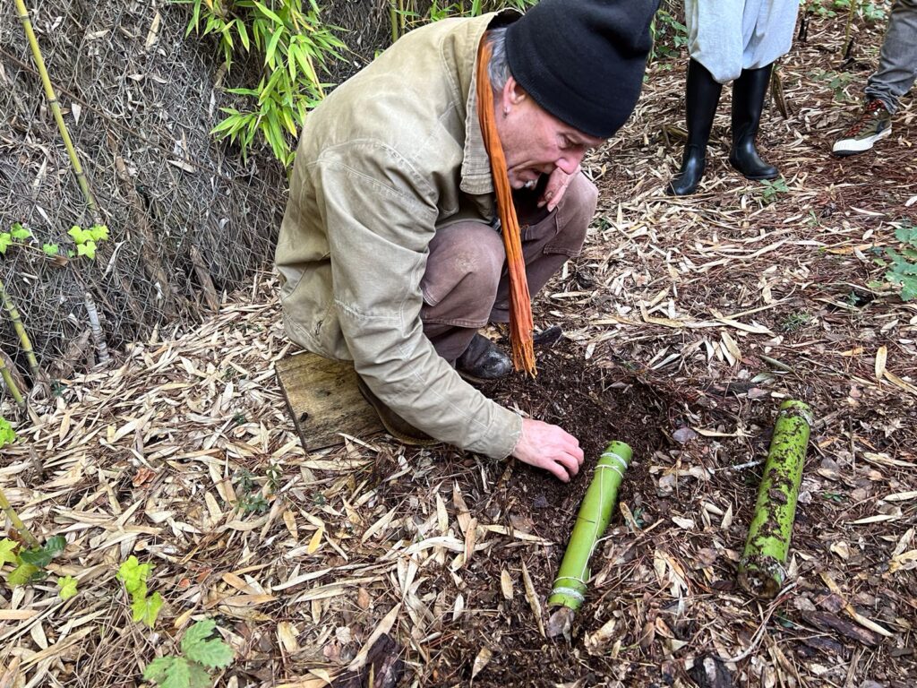 harvesting indigenous microorganisms