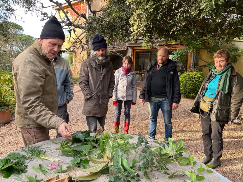 compost tea making