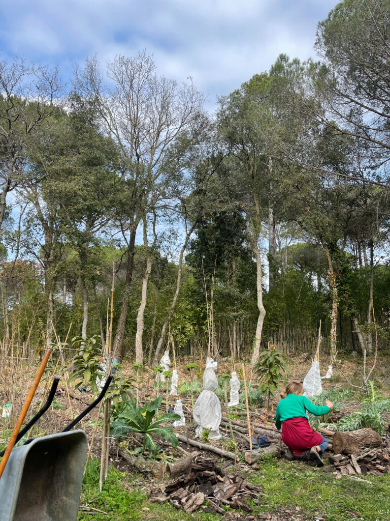 volunteering weekend la bruguera