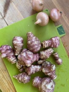 Jerusalem Artichoke and Onion from La Bruguera