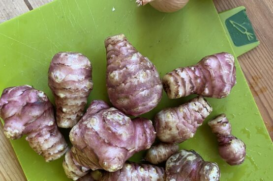 Jerusalem Artichoke and Onion from La Bruguera