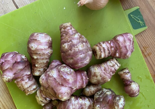 Jerusalem Artichoke and Onion from La Bruguera