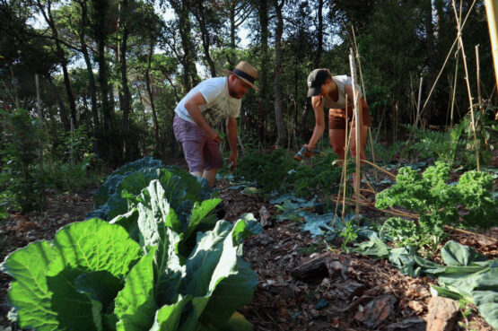 permaculture-course-catalunya-la-bruguera