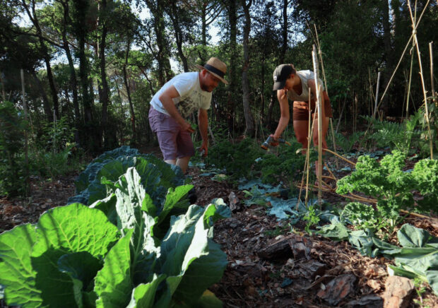 permaculture-course-catalunya-la-bruguera